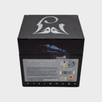 Michael Jackson Visionary Complete Boxset with 20 Video Singles