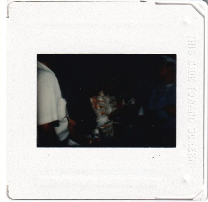 Michael Jackson & The Jacksons Set of 20 Photo Slides # 6 - Image 3